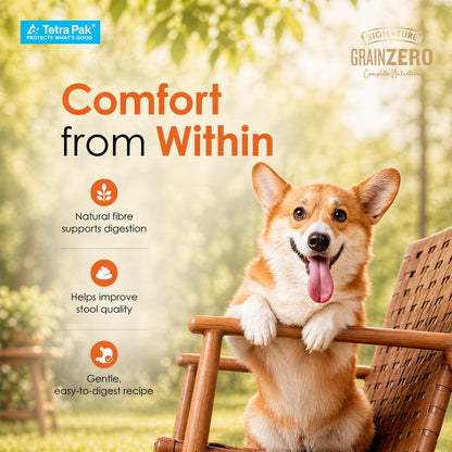Grain Zero Dog Fresh Food Tetra Pak Real Chicken, Egg & Pumpkin, for Adult & Puppy, 350g | Supports Joint & Health | Immune System | Anti Inflammatory Properties | Ready to Serve | One Pack One Meal