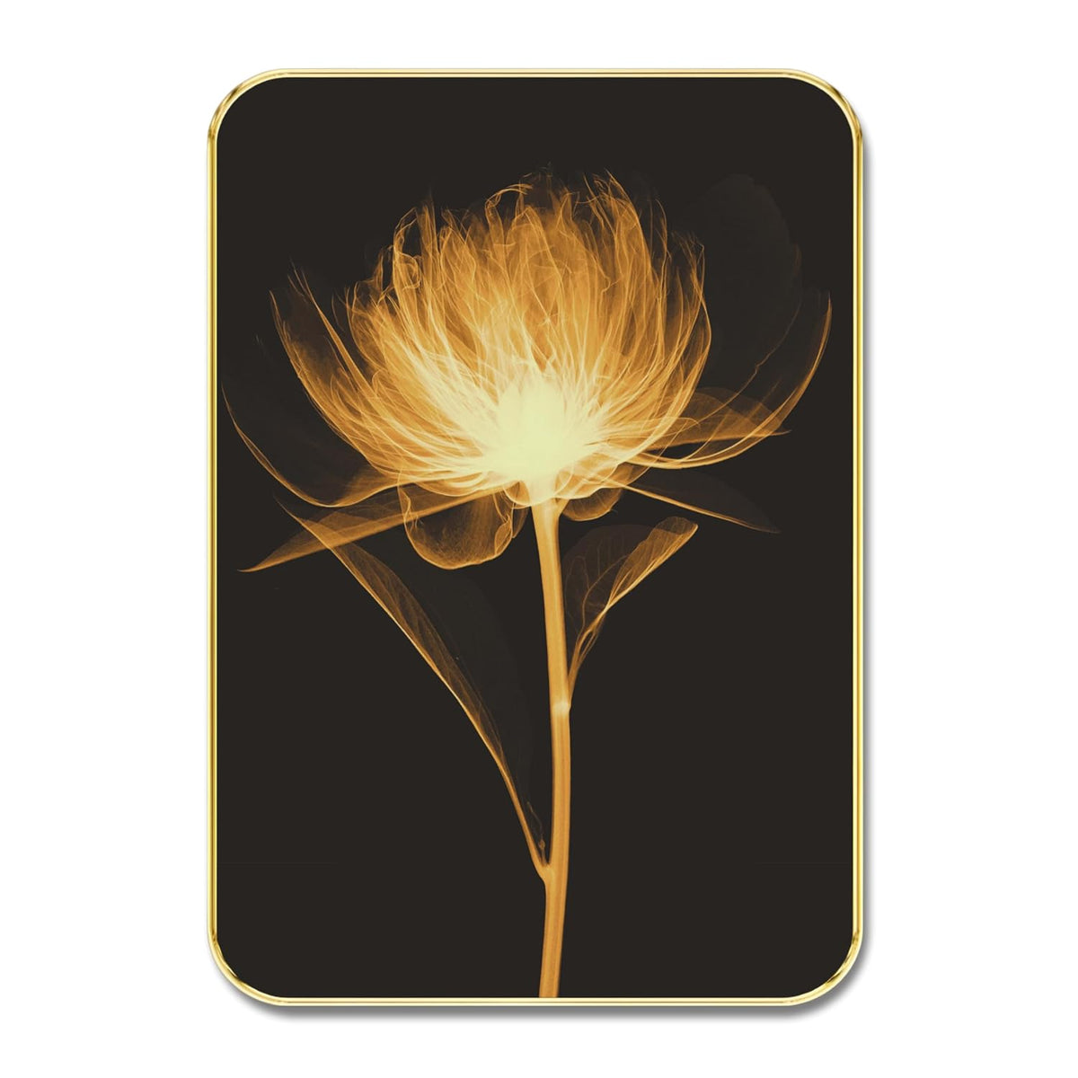Golden Bloom Wall Painting | Glowing Single Flower Artwork with Black Background | Premium MDF Frame Decorative Art for Living Room, Bedroom, Office & Home Décor (19 x 13 Inch) MG01-1039