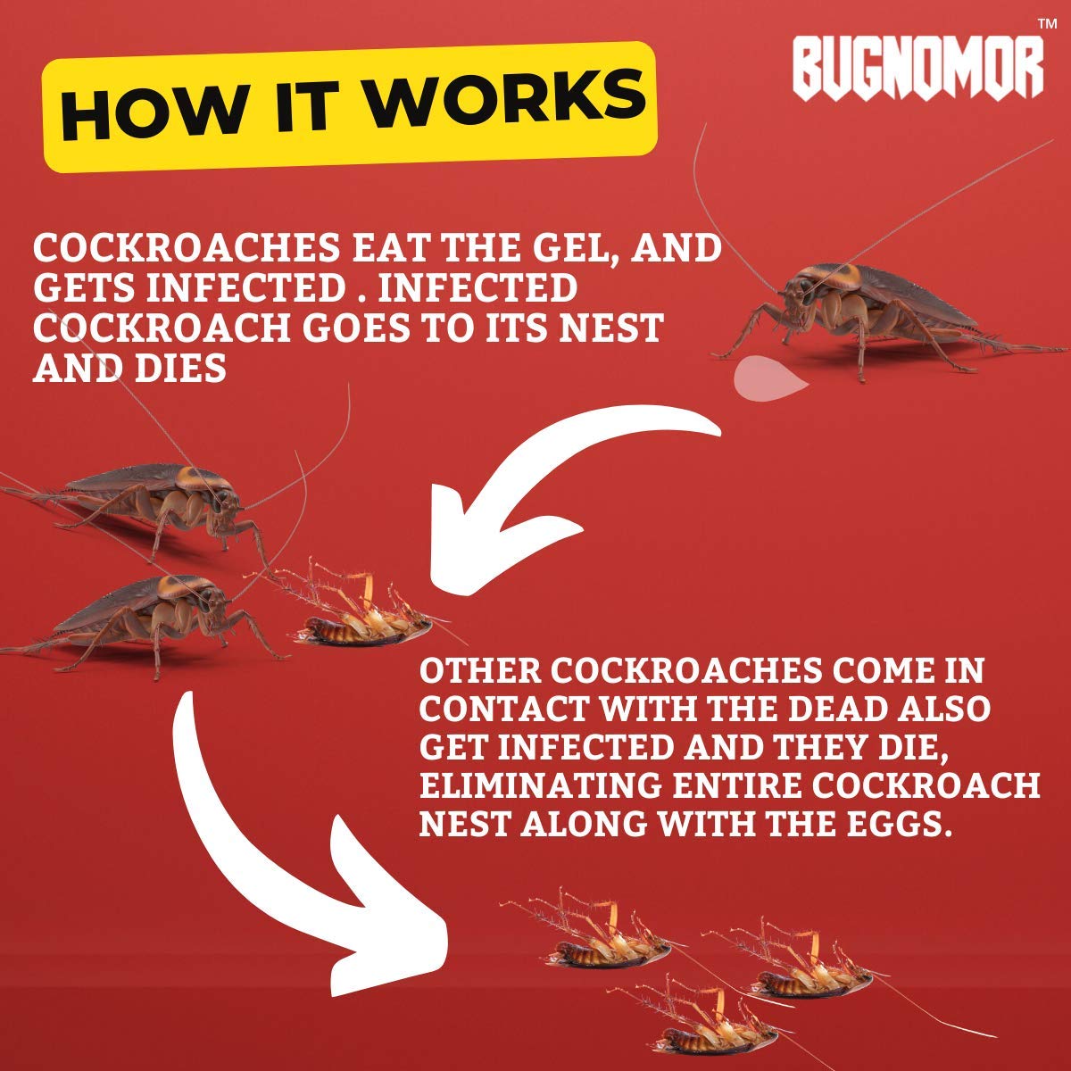 iShine Bugnomor Anti Roach Gel Ultimate Cockroach Gel for Home Cockroach - Bottle (Brown) (Set of 2)