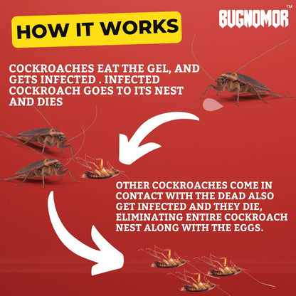 iShine Bugnomor Anti Roach Gel Ultimate Cockroach Gel for Home Cockroach - Bottle (Brown) (Set of 2)