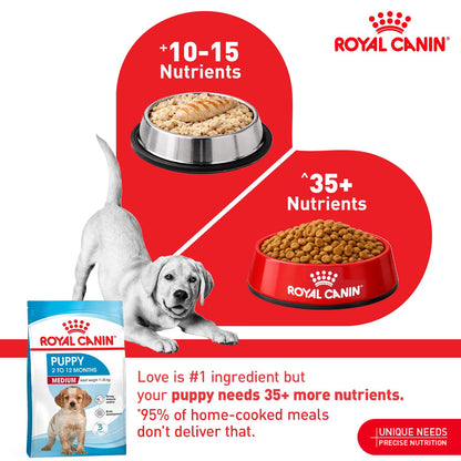Royal Canin Medium Puppy, Dry Food, 1 kg | Supports Digestion And Immunity With Short Growth And High Energy Content