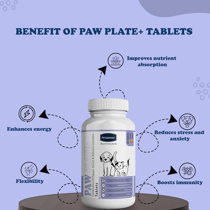 Aniamor Paw Plate + Tablet for Dogs and Cats|Platelet Enhancer Tablets|Pets Supplement|All Life Stage|60 Tablets Bottle