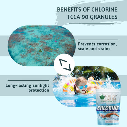 Bliss of Earth Japanese Chlorine Powder for Pool 453g, Clean & Clear Swimming Pool, Kills Bacteria & Stops Algae, Pool Disinfectant Granular Chlorine