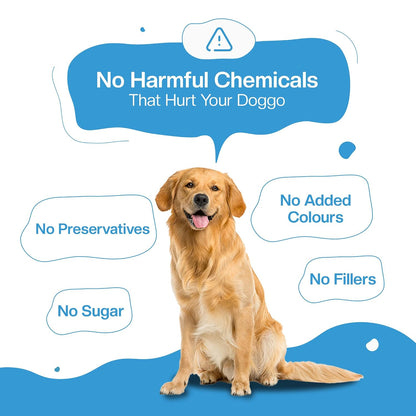 BLEP Fresh Dog Food (Wet) Human Grade, Grain Free|Paneer, Quinoa & Mixed Veggies|Omega 3, 6, Vitamin A, D, E, B|Zero Preservatives & Sugar|Easily Digestible|for All Dog Breeds|100g (Pack of 1)
