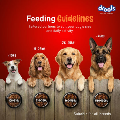 Drools Adult Dry Dog Food 1kg | Turkey and Pumpkin Flavour | Supports Skin Nourishment and Coat Radiance | Promotes Healthy Digestion | Natural Antioxidants | Strengthen Immunity