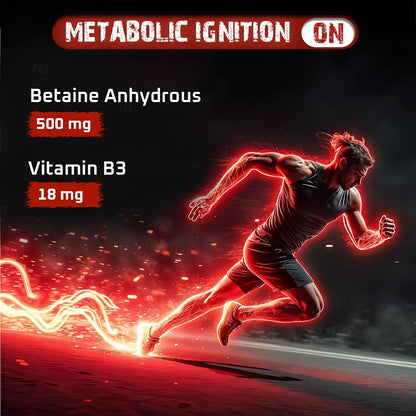Beastlife Pre-Workout | 105 gm | Orange Flavor | Boosts Pump & Energy | Speeds Up Recovery | 2000 mg Citrulline | 2500 mg Beta-Alanine | 200 mg Caffeine | 500 mg Betaine