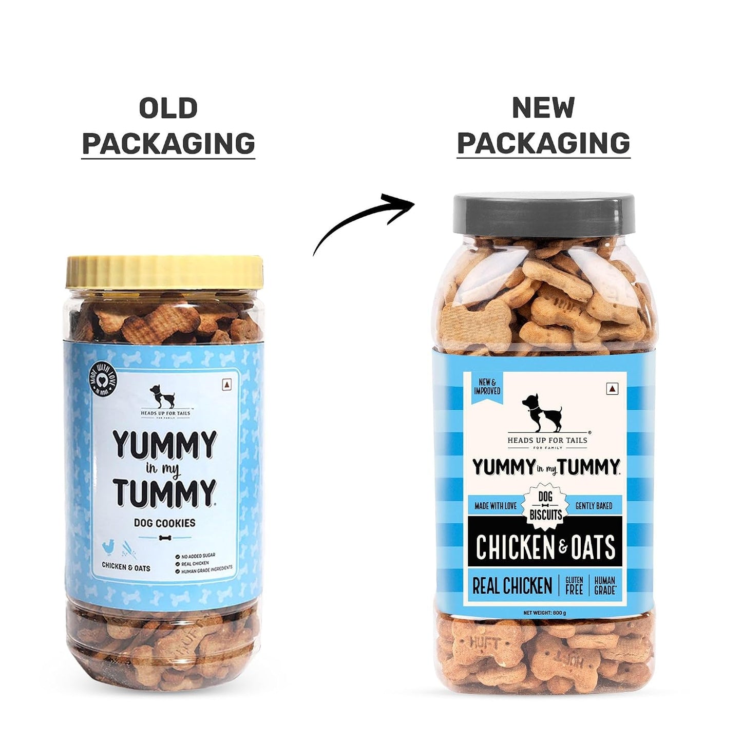 Yummy in My Tummy by HUFT Chicken & Oats Dog Biscuits – 800 gm | Crunchy & Healthy Treats for Puppies (2+ Months) & Adult Dogs | High-Protein Snack | Ideal Training Treat for All Breeds Dogs