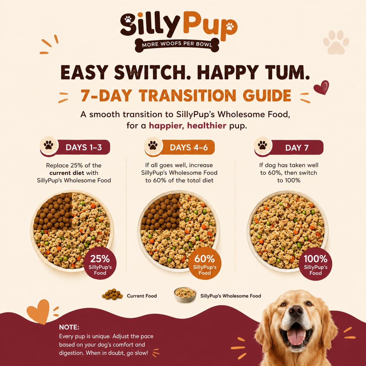 Silly Pup Chicken Rice with Vegetables Wet Dog Food | Amla, Flax Seeds, Turmeric, Ashwagandha & Pumpkin | No Sugar or Preservatives | Vet Crafted | All Breeds (1 Pouch, 100g)