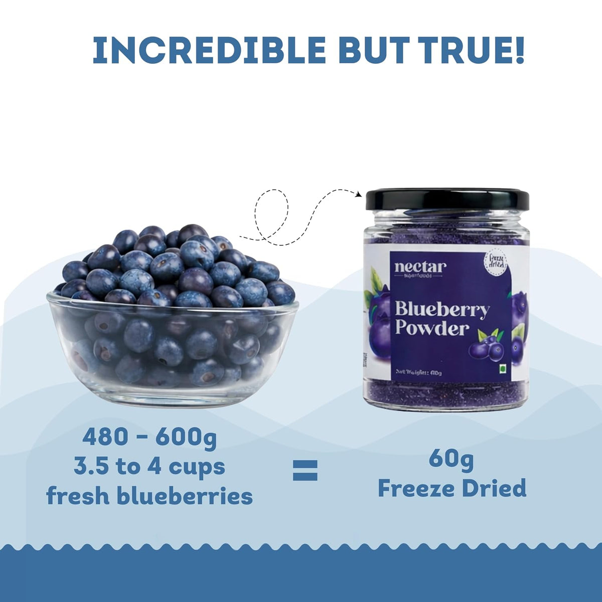 Nectar superfood Freeze Dried Blueberry Powder - 60 grams Jar-Pack of 1 Nos 100% Natural | No Added Sugar, Preservative-Free & Vegan | Processed in India