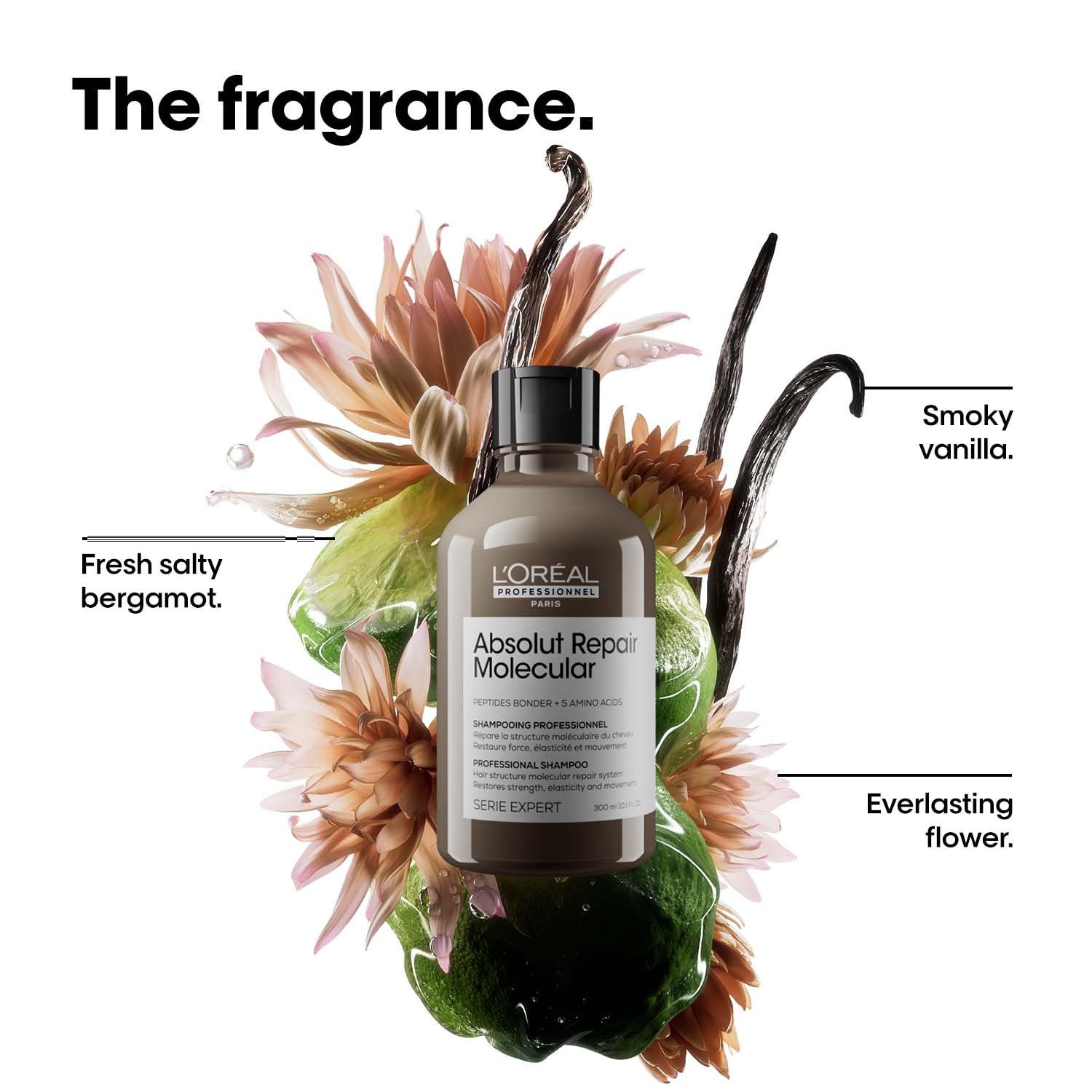 L'Oreal Absolute Repair Molecular shampoo bottle surrounded by flowers and labeled with fragrance notes on a white background.