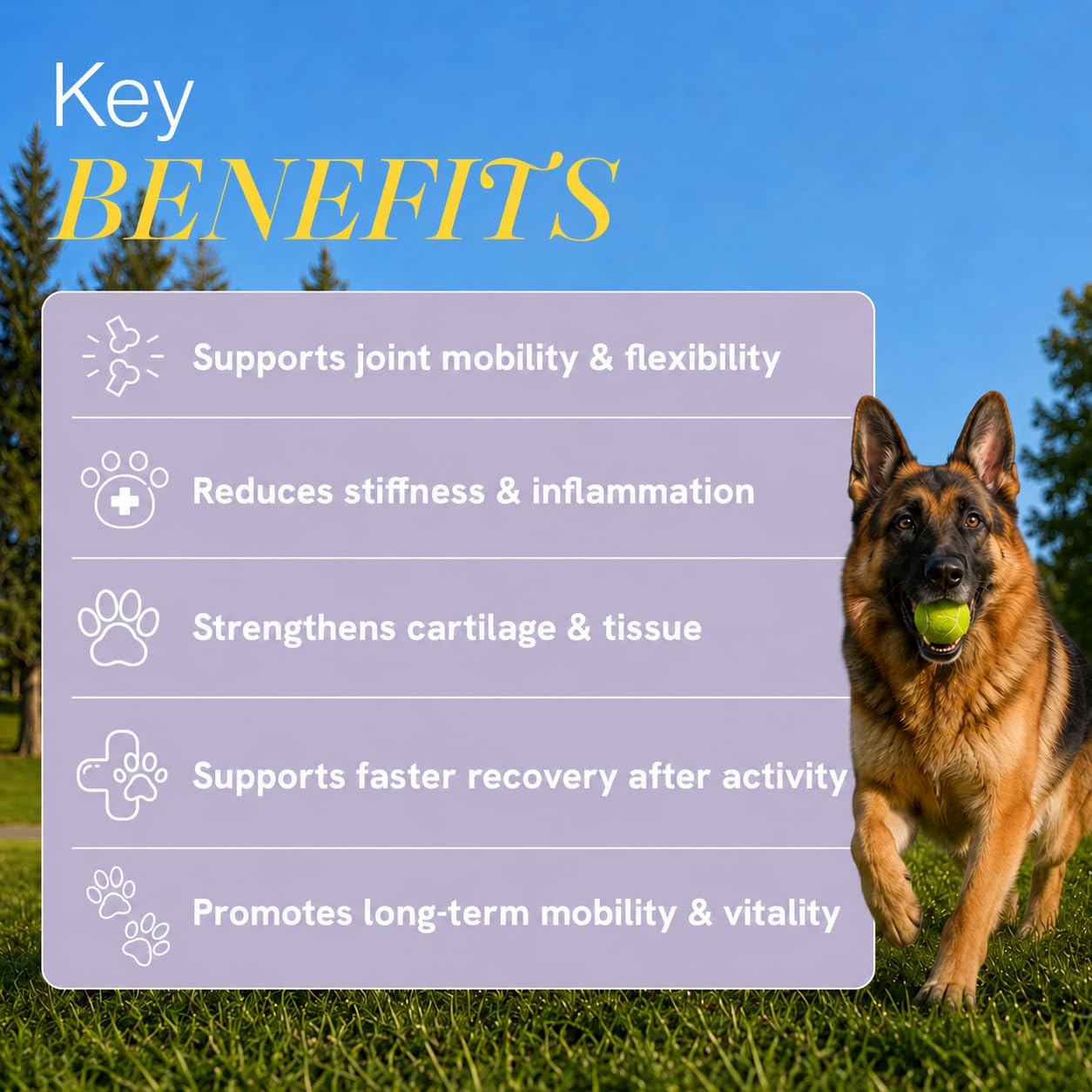 Winni Hip and Joint Supplement for Dogs | Supports Joint Health, Mobility & Flexibility | Chicken Flavor | Suitable for Puppies, Adult & Senior Dogs | No Preservatives or Additives | 120g