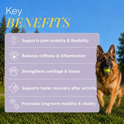Winni Hip and Joint Supplement for Dogs | Supports Joint Health, Mobility & Flexibility | Chicken Flavor | Suitable for Puppies, Adult & Senior Dogs | No Preservatives or Additives | 120g