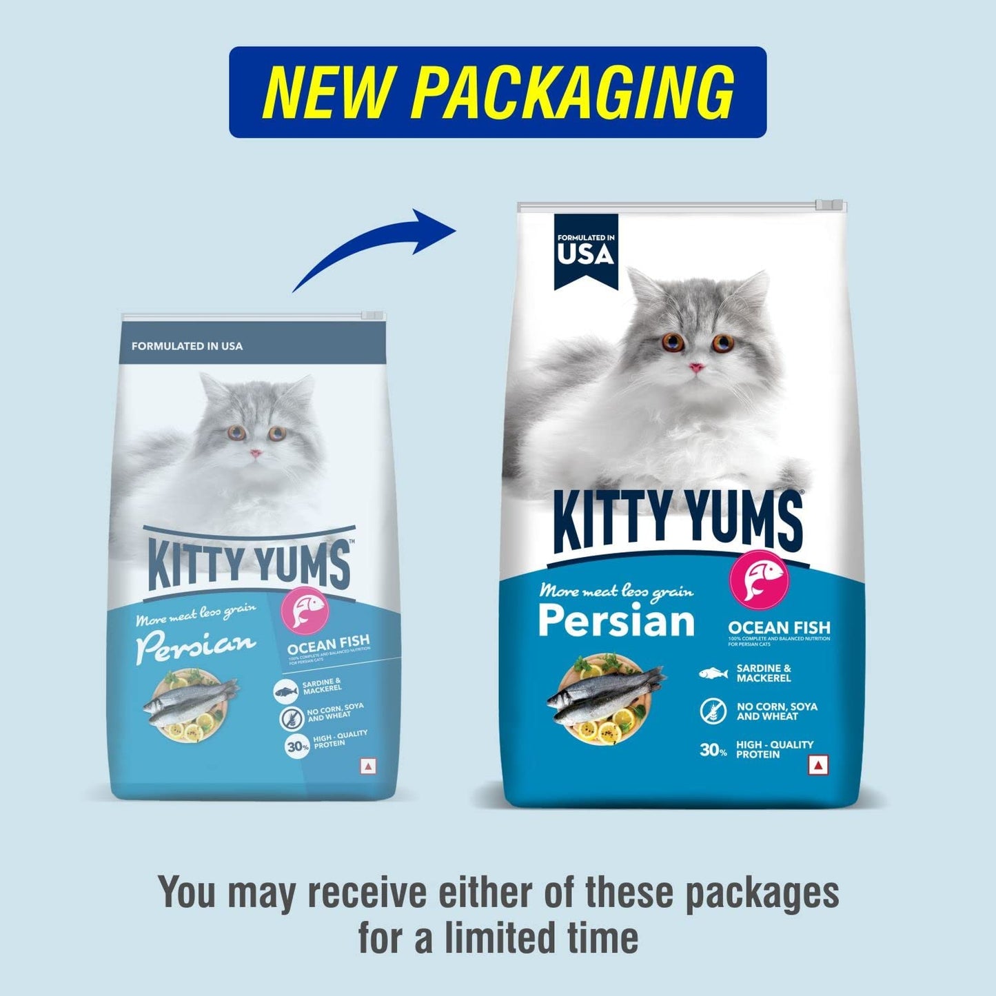 Kitty Yums Adult Persian Dry Cat Food 1.2kg Pack | Ocean Fish Flavour | Develop Strong Bones | Strong Immune System | Strong Vision Development Support Digestive Health