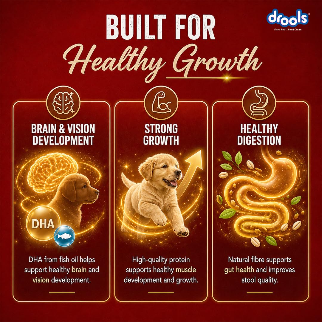 Drools Puppy Dry Dog Food 1kg | Meat and Milk Flavour | Supports Healthy Brain Development and Cognitive Function | Antioxidants | Chelated Minerals | Better Bioavailability of Minerals