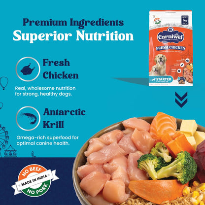 Carniwel Fresh Chicken Starter Dry Dog Food 1kg | Natural Ingredients for Easy Weaning | GMO-Free | Highly Palatable | Immune & Lactation Support | Premium, Tailored Nutrition for Large Dog