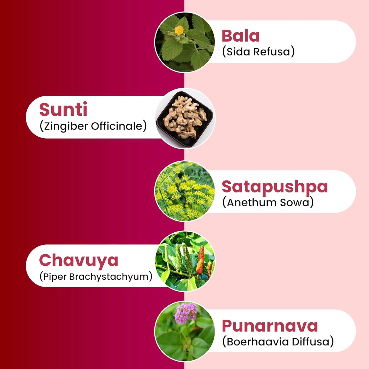 BBETTER Spinal Tejas Taila | Ayurvedic Oil for Cervical, Spinal & Back Pain Relief | Herbal Formula with Rasa Thailam & Karpooradi Thailam for Neck Stiffness, Muscle Relaxation & Mobility | 200ml