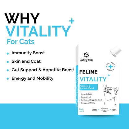 Goofy Tails Feline Vitality+(100Mlx1Pack) Liquid Immunity Booster for Cats, Cat Coat Supplement, Gut Supplement, Boosted with Curcuminoids, Ashwagandha, Prebiotics and Collagen for Cats