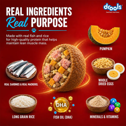 Drools Adult Dry Dog Food 1kg | Fish and Rice Flavour | Fish & Rice Formula | Gentle on Gut | Helps Maintain Strong Muscles and Vitality | Organic Chelated Minerals