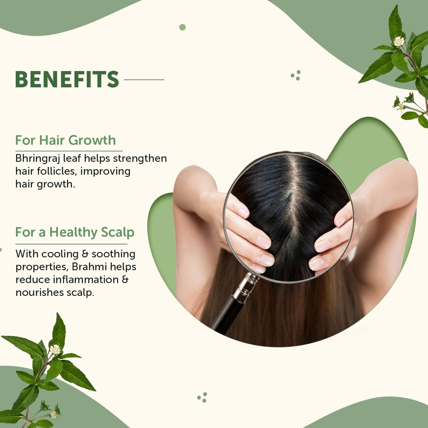 Neuherbs Bhringraj Powder For Hair Growth - 100g | Hair Mask For Nourishment of Hairs | 100% Pure & Natural With No Additive Preservatives