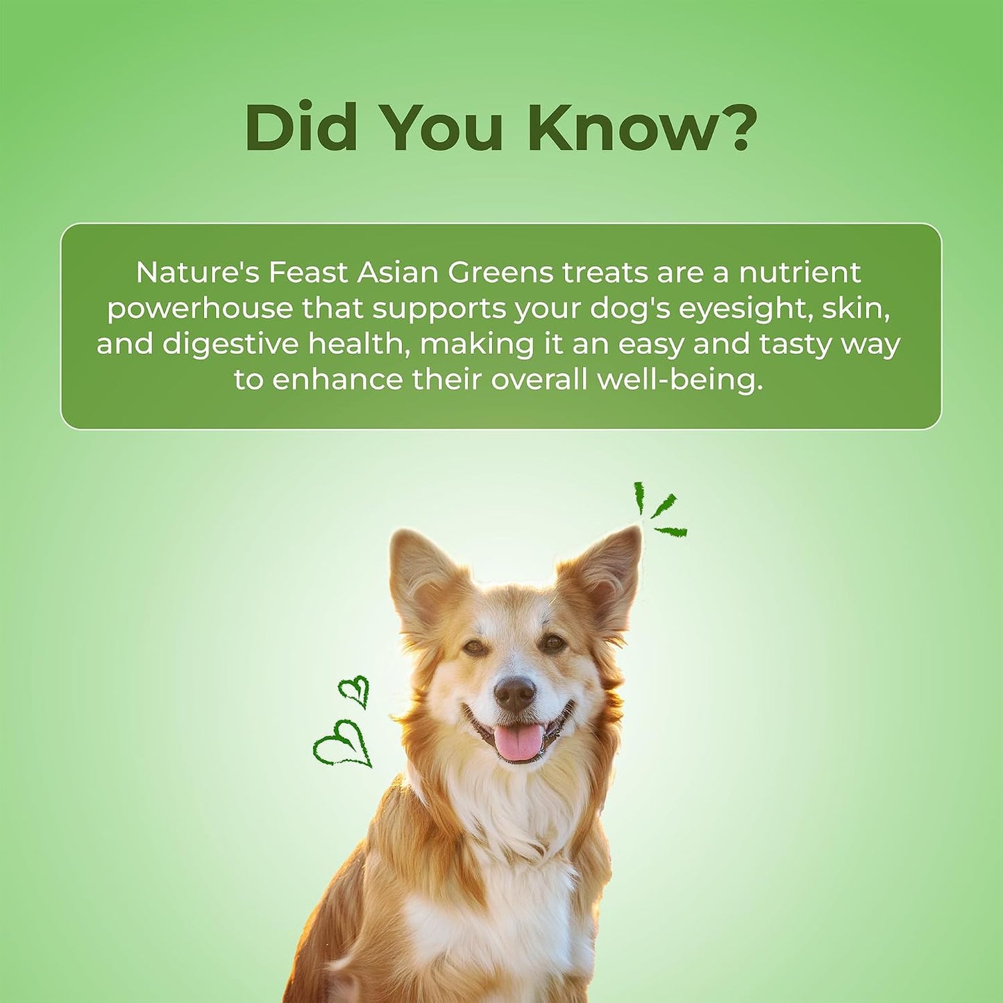 Pawfect Nature's Feast Freeze-Dried Chicken Treats with Asian Greens for Dogs - 80% Chicken, 20% Veggies & Fruits-100% Natural- Grain-Free- High Protein- Limited Ingredient Training Treat (50g/1.76oz)