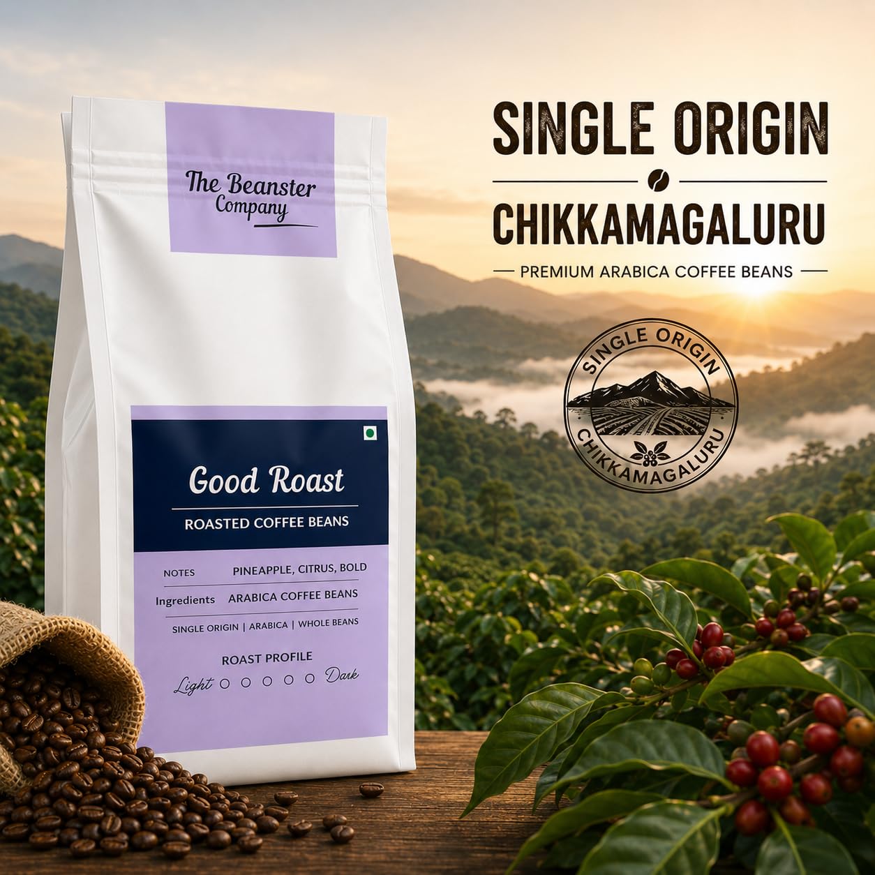Beanster Coffee Beans Roasted, Medium Dark Roast, Good Roast