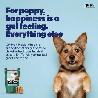 Hope Pre & Probiotics Supplement for Dogs -30 Vegan hoplets | Tasty Pet Chews with Hing for Absolute Gut Health, Gas, Itching, Scratch Relief | Cold-Pressed| Air-Dried | Tasty | Honest Pet Co