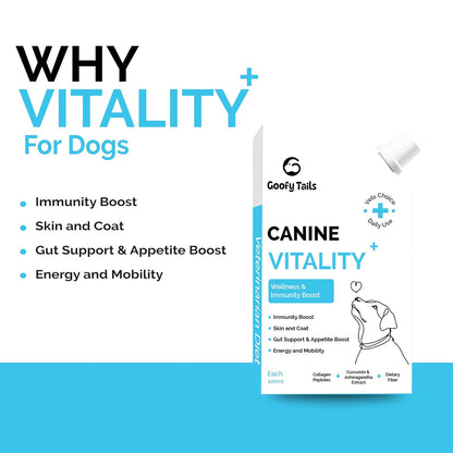 Goofy Tails Canine Vitality+ (100Mlx1Pack) Dog Immuity Booster, Dog Coat Supplement, Gut Supplement, Boosted with Curcuminoids, Ashwagandha, Prebiotics & Collagen for Dogs