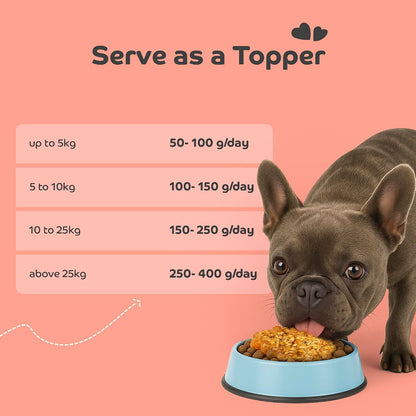 applod Chicken Pilaf Fresh Dog Food for Adult Dogs | High-Protein Chicken Meal for Muscle Strength & Easy Digestion | Complete & Balanced Fresh Nutrition | 300g