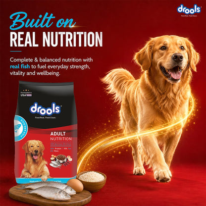Drools Adult Dry Dog Food 1kg | Fish and Rice Flavour | Fish & Rice Formula | Gentle on Gut | Helps Maintain Strong Muscles and Vitality | Organic Chelated Minerals