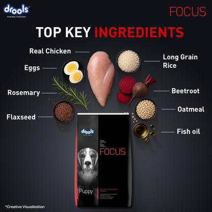Drools Focus Premium Puppy Dry Dog Food 1.2kg Pack | Chicken Flavour | Growth & Intelligence | Digestive Health | Healthy Skin & Coat | Improves Immunity