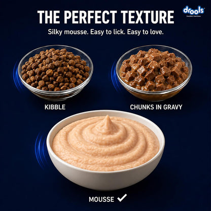 Drools Kitten Wet Mousse 80g | Chicken | High Protein | Supports Hydration & Easy Digestion | Grain Free | No Artificial Additives | Enriched with Vitamins & Antioxidants