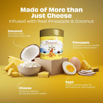 Pawfect Cheesecuits - Cheese Biscuits with Pineapple, Coconut & Eggs for Dogs - 100% Natural - Grain-Free - Hypoallergenic - Rich in Antioxidants - High-Protein Dog Training Treats (100g/3.53oz)