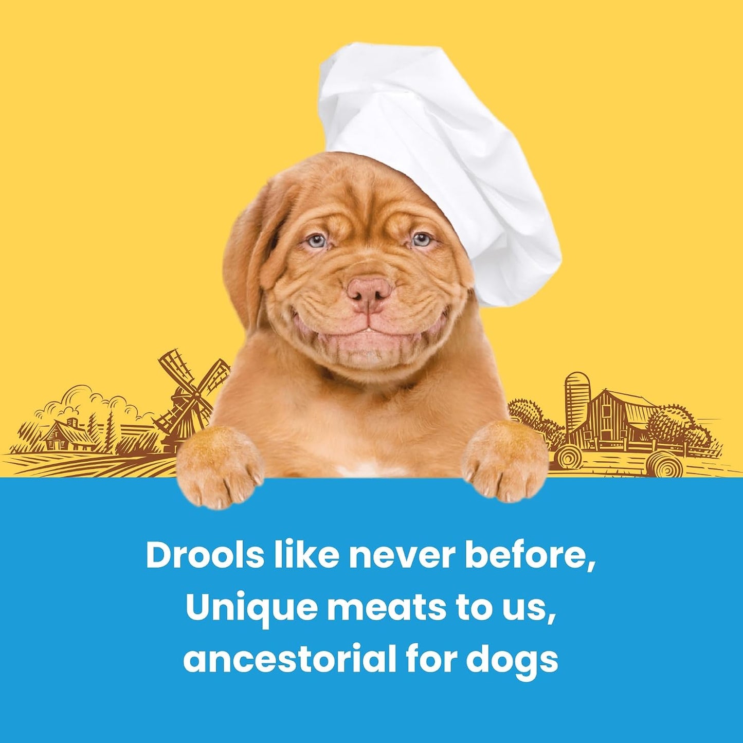 Barkbutler x Dogfest Dog Training Treats, Quail & Chia Seeds, Superfood Dog Treats for Adult Dog, Bite-Sized Treats for Puppies, Dog Treat, Aids Digestion & Boosts Immunity