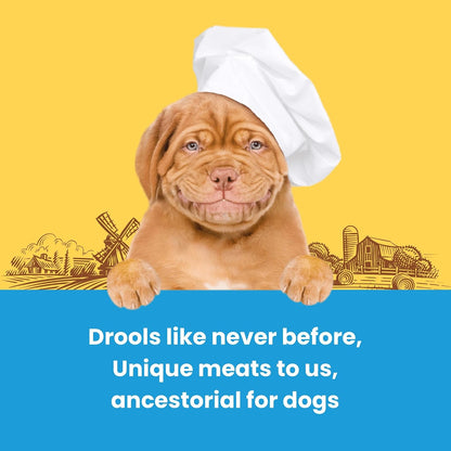 Barkbutler x Dogfest Dog Training Treats, Quail & Chia Seeds, Superfood Dog Treats for Adult Dog, Bite-Sized Treats for Puppies, Dog Treat, Aids Digestion & Boosts Immunity