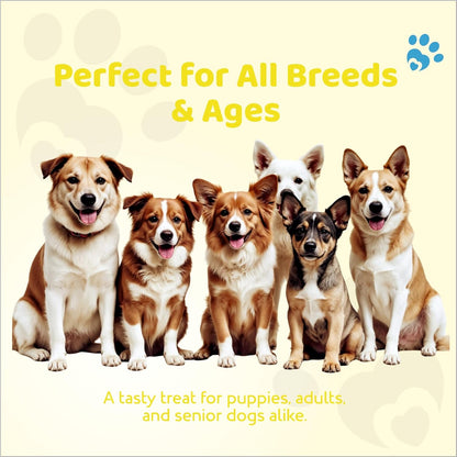 PETOSKA Chicken Sticks- 100gms | Dog Treats Made with Milk & Cheese | Highly Nutritious | Easy to Digest | Healthy Bone & Muscle | Suitable for All Dog Breeds | Pack of 1