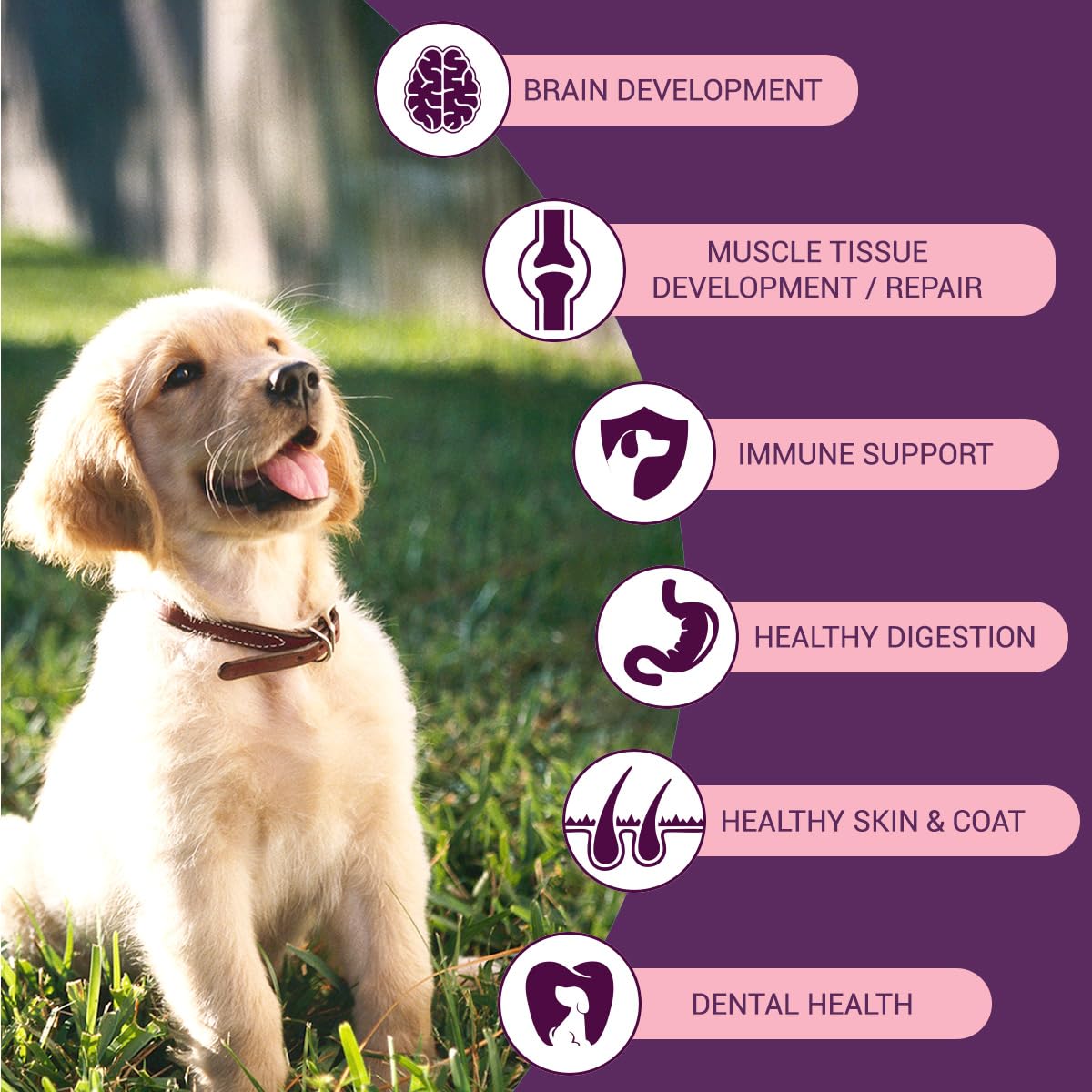 Bowlers Nutrimax Puppy Dry Dog Food | Chicken & Milk |1.2 kg | Smooth Digestion & Shiny Coat | Promote Healthy Growth | Strong Bones & Muscle Development