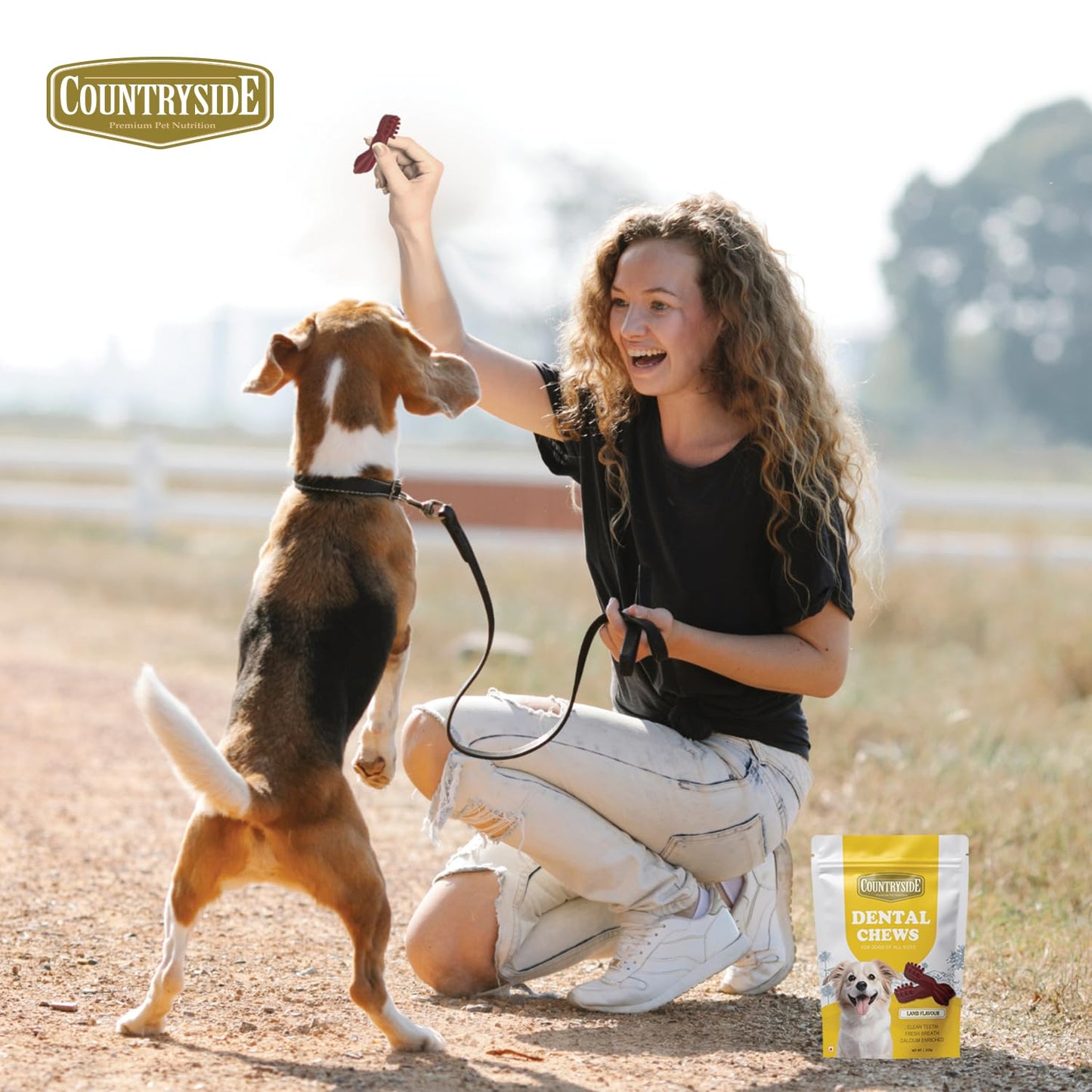 COUNTRYSIDE Dog Dental Chews Treats 250g – Lamb Flavor | Brush-Shaped Chews for Dogs, Oral & Gum Care for Dogs | Fights Plaque & Tartar | Freshens Breath | Calcium Enriched & Gluten Free