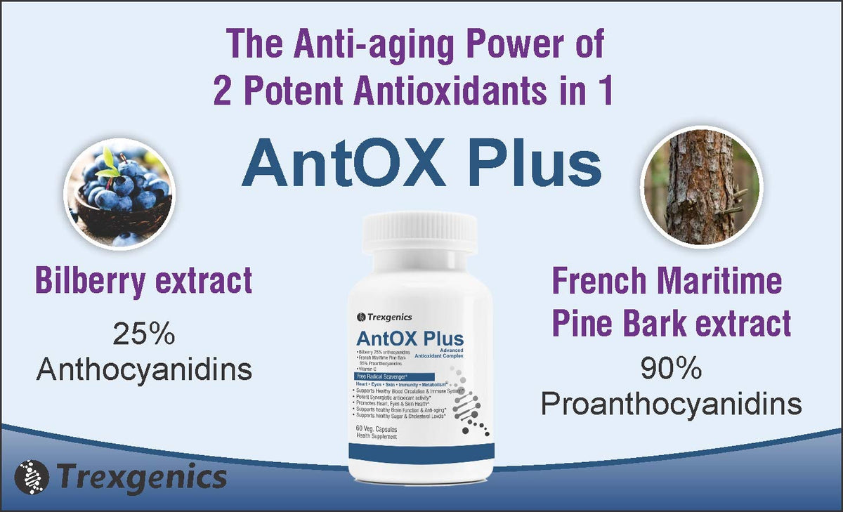 Advertisement for AntOX Plus supplement with bilberry extract and French Maritime Pine Bark extract, featuring Trexegenics logo.