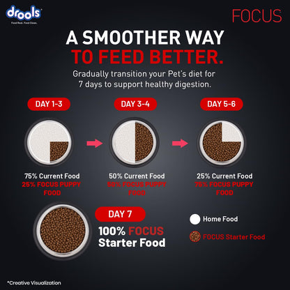 Drools Focus Starter Super Premium Dry Dog Food 1.2kg Pack | Chicken Flavour | Brain Development | Antioxidants like Vitamin E & C | Energy and Essential Nutrients
