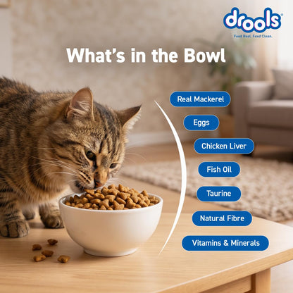 Drools Adult Dry Cat Food 1.2kg Pack | Mackerel Flavour | Enriched with Essential Nutrients | Supports Skin & Coat | Complete Nutrition | Aids Digestion | Promotes Growth