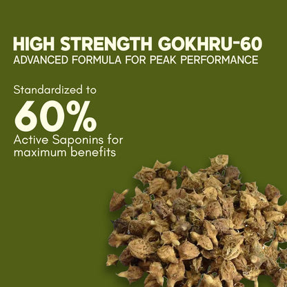 High Strength Gokhru-60 with dried herbs on a green background