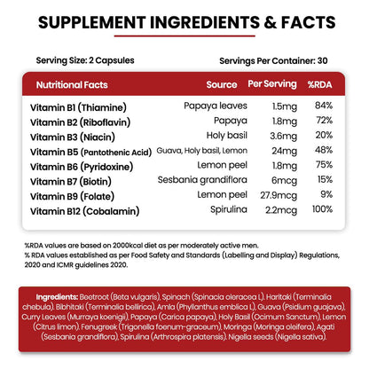 Vlado's Himalayan Organics Plant Based Vitamin B12 Supplement | B1,B2,B3,B5,B6,B7,B9,Moringa| Boost Energy Level | For Memory, Brain, Heart & Nervous System Support | B12 supplement for Men & Women - 120 Veg Capsules