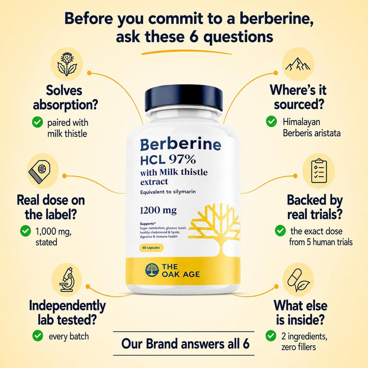 The Oak Age Berberine HCl 97% with Milk Thistle Supplement, 1200 mg| 60 Capsules