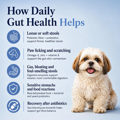 Whisker and Wilde Dog Gut Health Supplement Powder | 6 Billion CFU Probiotics for Paw Licking, Loose Stools, Gas and Itching | with Prebiotics, Digestive Enzymes and Omega-3 | 300g, 30 Daily Scoops