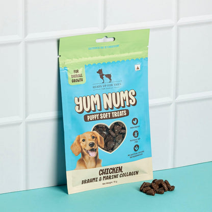 Yum Nums by HUFT Soft & Chewy Sticks - 70 gm| Chicken, Brahmi & Marine Collagen Puppy Treats | Healthy Dog Treats | Training Treats | High Protein, Joint Support