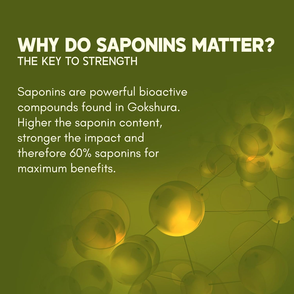 Text explaining the importance of saponins in Gokshura with a molecular structure graphic on a green background.