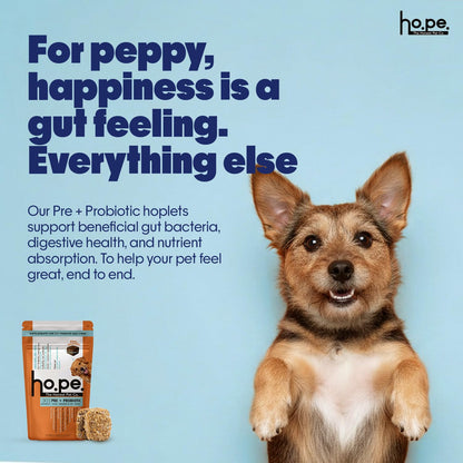 Hope Pre & Probiotics Supplement for Dogs - 60 Chicken hoplets | Tasty Pet Chews with Hing for Absolute Gut Health, Gas, Itching, Scratch Relief | Coldpressed| Air-Dried | Honest Pet Co