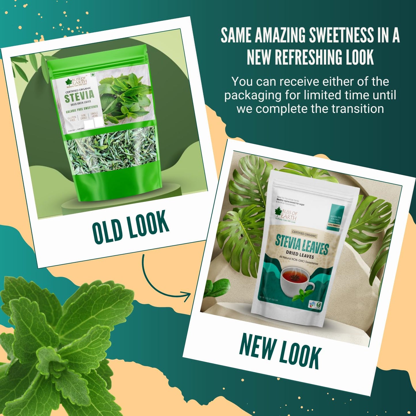 Bliss of Earth Organic Stevia Leaves Dried, Natural & Sugarfree, Best Taste, 100GM