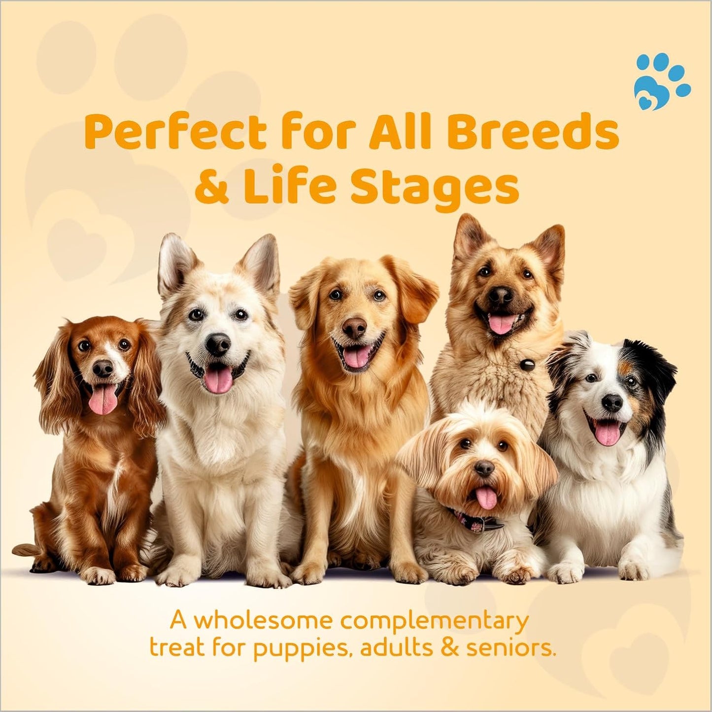 Petoska Chicken & Egg Dog Biscuits | 500g Jar | Made with Real Chicken & Egg | Crunchy Treats for Small, Medium & Large Dogs | 300 kcal/100g | Complementary Dog Food