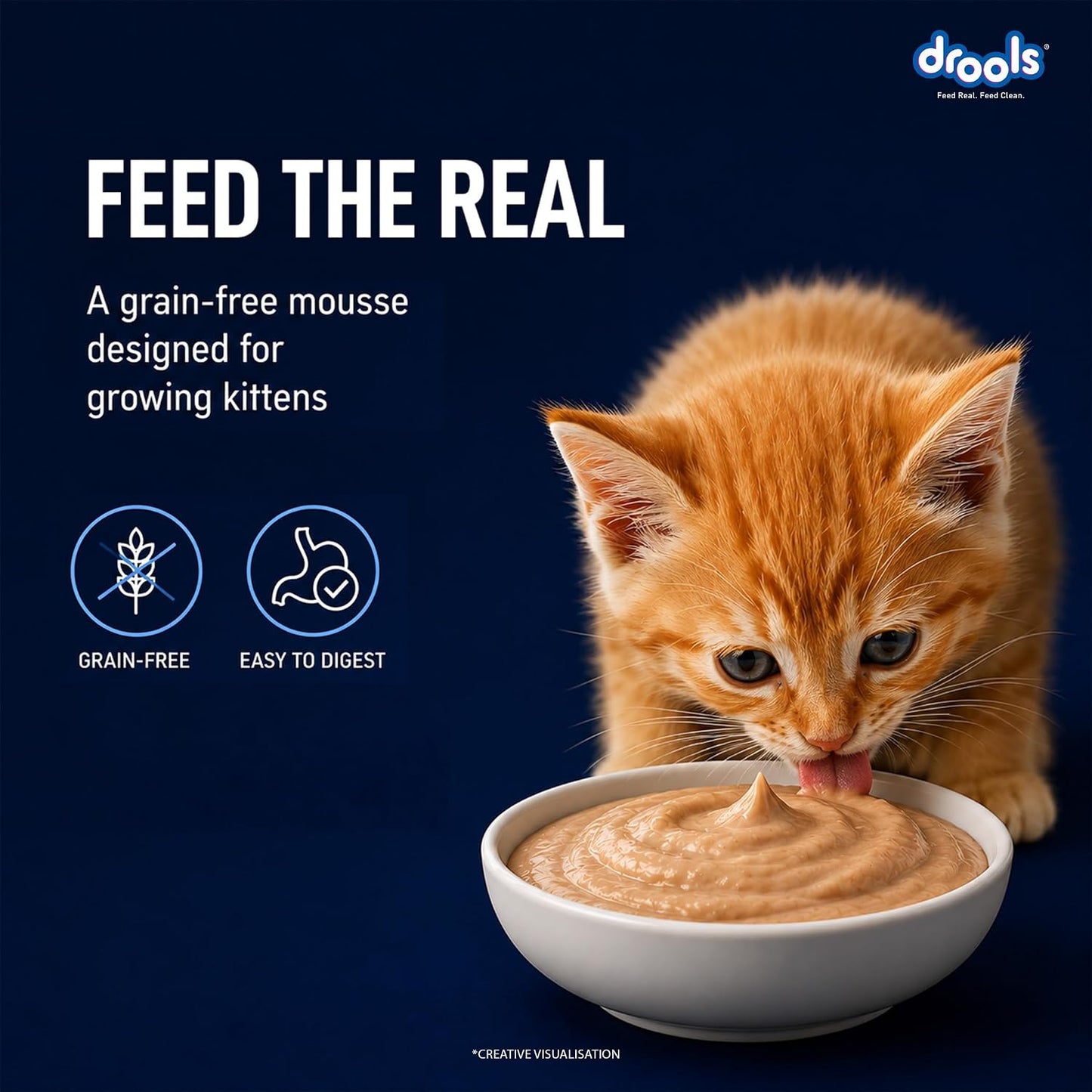 Drools Kitten Wet Mousse 80g | Ocean Fish | High Protein | Promotes Hydration & Easy Digestion | Grain Free | No Artificial Additives | Enriched with Vitamins & Antioxidants